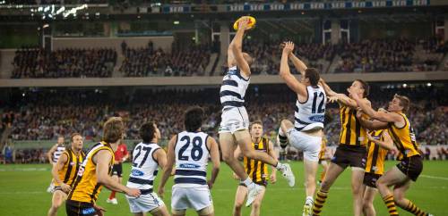 A Geelong cats player jumps for the ball against Hawthorn